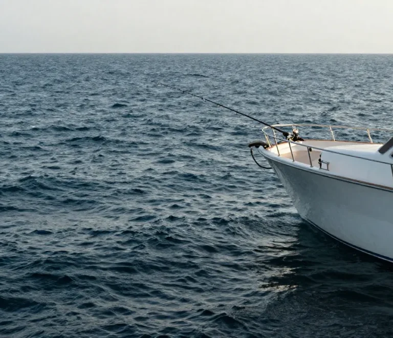 اماكن صيد السمك في دبي